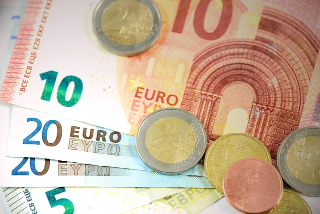 Schein- und Münzgeld in der Euro-Währung